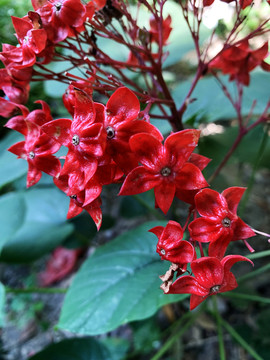 狀元紅網(wǎng)