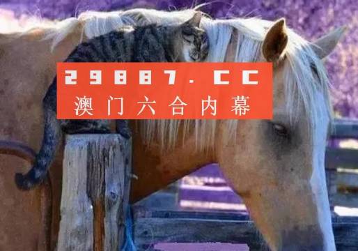 澳門一肖一碼一待一中四不像，探索與解析，澳門一肖一碼一待一中四不像，深度解析與探索