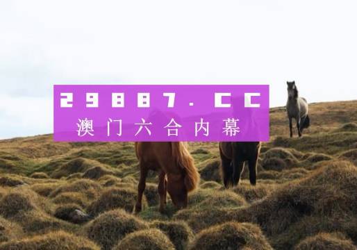 澳門今晚開獎(jiǎng)什么，揭秘彩票背后的秘密與策略分析，澳門彩票開獎(jiǎng)揭秘，策略分析與秘密探索