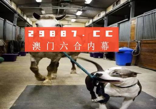 澳門一肖一碼一必中一肖，同舟前進的奧秘與策略，澳門一肖一碼必中策略與前進奧秘，同舟共濟的揭秘與策略