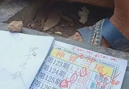 香港中特期期準(zhǔn)資料