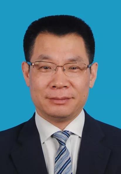 2024新奧正版資料免費(fèi)獲取指南，2024新奧正版資料免費(fèi)獲取攻略
