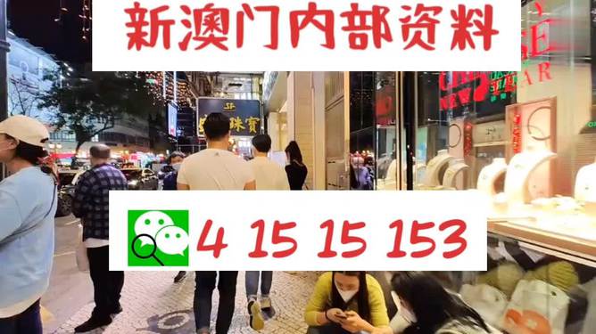 探索未來，2025新澳最新版精準(zhǔn)特色解析，探索未來，揭秘新澳最新版精準(zhǔn)特色解析（2025版）
