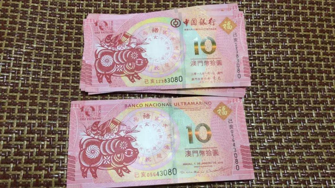 新澳門生肖走勢圖，深度解析與預(yù)測，澳門生肖走勢圖深度解析及預(yù)測報告