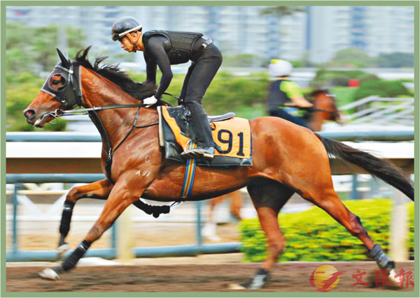 7777788888香港馬
