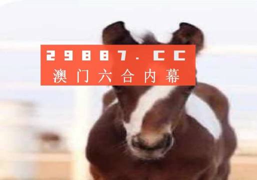 澳門一肖一碼一待一中資料，深度解析與探索，澳門一肖一碼深度解析與探索揭秘資料
