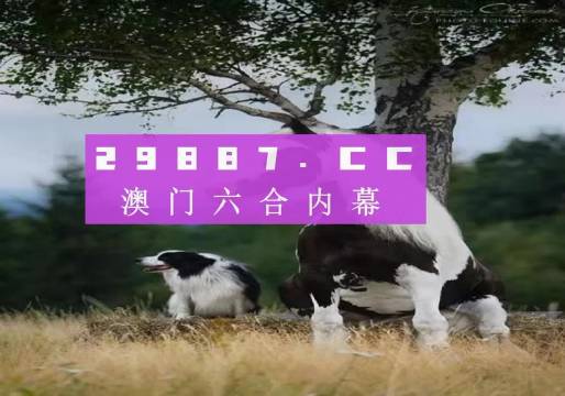 澳門天天空彩官網(wǎng)資料，探索彩票世界的門戶，澳門天天空彩官網(wǎng)資料，彩票世界探索門戶