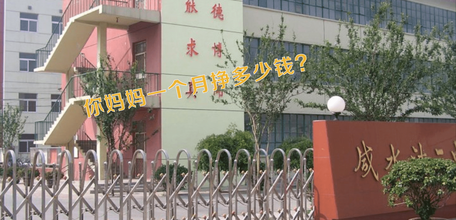 一碼一肖一特一中