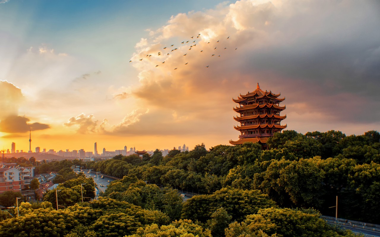 澳門 第31頁