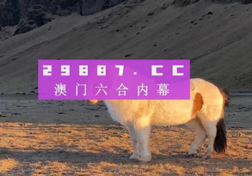 澳門天天彩資料正版免費(fèi)特色快8，探索彩票世界的魅力與機(jī)遇，澳門天天彩正版特色快8，彩票世界的魅力與機(jī)遇探索