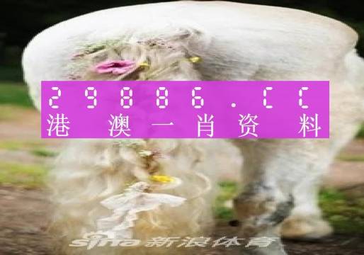 澳門羊了個(gè)羊與各大圖庫的資料揭秘，2023年澳門今晚必中一肖一碼永久免費(fèi)資料庫大解密，澳門羊了個(gè)羊與資料庫揭秘，2023年必中一肖一碼永久免費(fèi)資料大解密