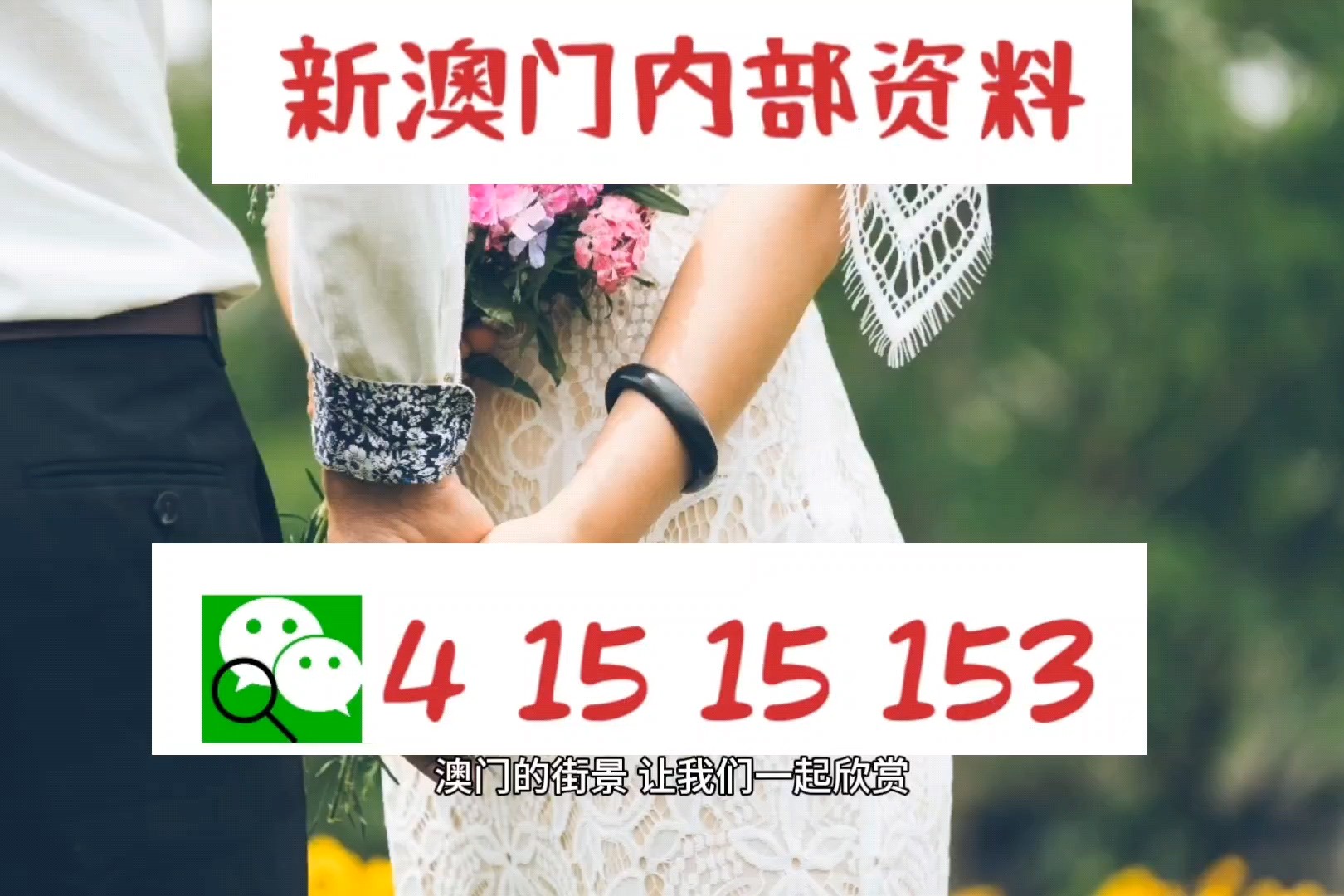 新澳平碼出碼公式，揭秘背后的秘密與策略，揭秘新澳平碼出碼公式，背后的秘密與策略解析