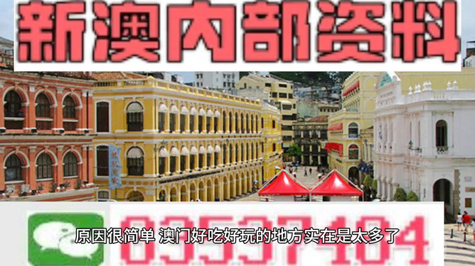 澳門(mén)精準(zhǔn)資料大全免費(fèi)，探索與解析，澳門(mén)精準(zhǔn)資料大全免費(fèi)解析探索