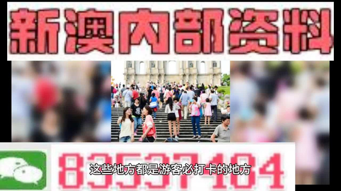 新澳天天開獎資料大全旅游團——探索澳門的魅力之旅，澳門魅力探索之旅，新澳天天開獎資料大全旅游團