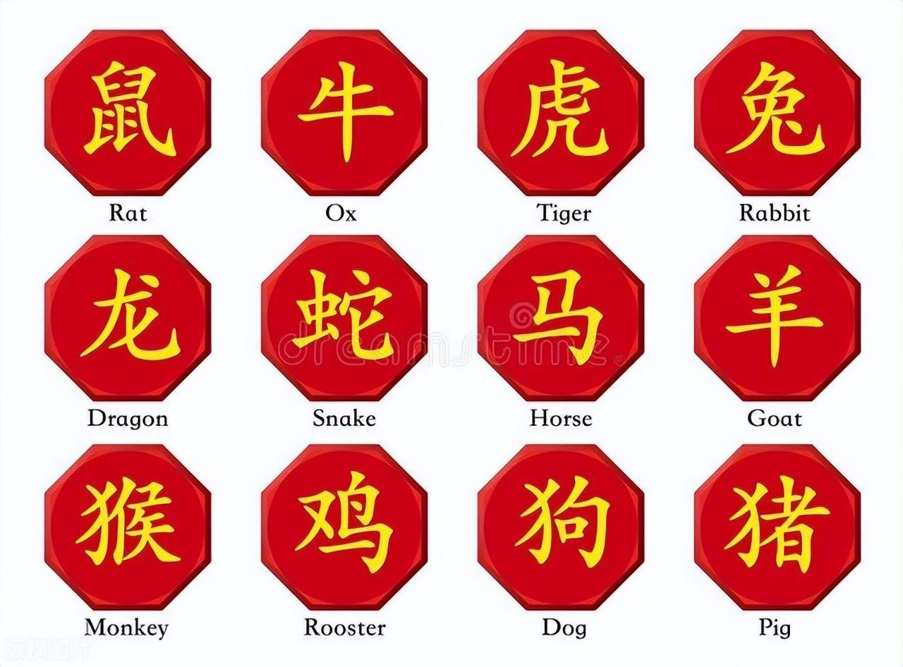 新澳特碼，羊?；⒏鲾?shù)10——揭秘背后的數(shù)字奧秘，揭秘新澳特碼數(shù)字奧秘，羊?；⒏鲾?shù)背后的秘密