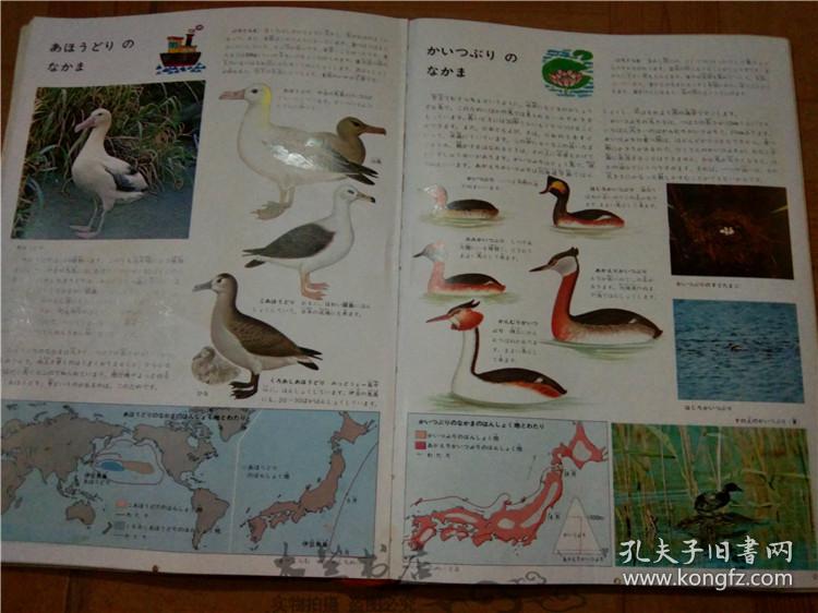 今日正版跑狗圖分享，探索7777788888跑狗圖的魅力，今日正版跑狗圖分享，探索魅力十足的777778跑狗圖