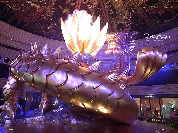 澳門無錯(cuò)七尾，探索與解析，澳門無錯(cuò)七尾，深度探索與解析
