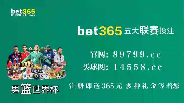王中王中特馬王中王精準資料解析與SEO優(yōu)化策略探討，王中王中特馬精準資料解析與SEO策略探討