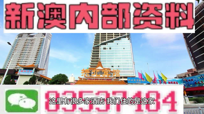 澳門芳草地精準資料站，探索與優(yōu)化的SEO之路，澳門芳草地精準資料站，SEO之路的探索與優(yōu)化