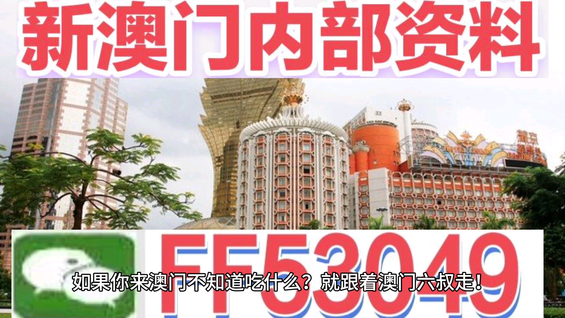 澳門今晚特馬生肖預(yù)測，探尋未來的幸運(yùn)符號（2025年），澳門生肖預(yù)測揭秘，探尋未來幸運(yùn)符號（特馬生肖預(yù)測 2025年展望）