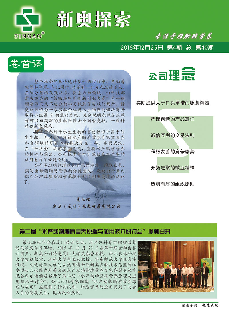 2025新澳正版資料查詢指南，2025新澳正版資料查詢手冊