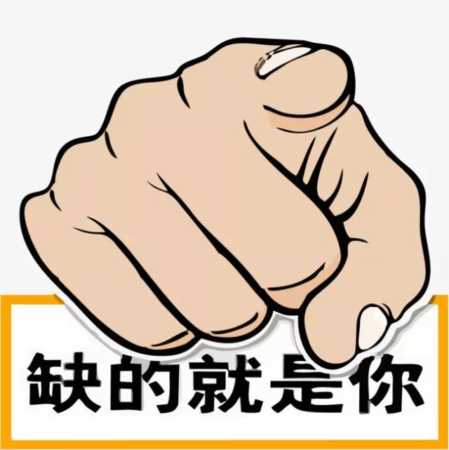 鐵算盤，全網(wǎng)矚目，傾力打造引領(lǐng)潮流的火熱品牌！，鐵算盤引領(lǐng)潮流，全網(wǎng)矚目成火熱品牌！