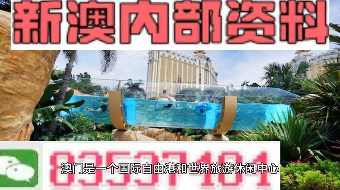 新澳的資料去哪里找——全面指南，新澳資料全攻略，尋找資料的途徑與指南