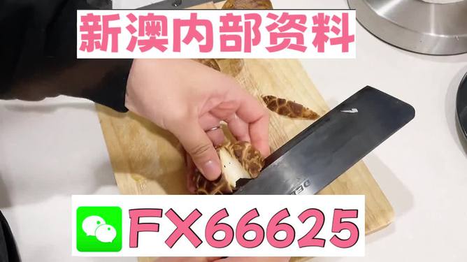 澳門九點(diǎn)半9點(diǎn)半網(wǎng)站——探索其魅力與優(yōu)勢(shì)，澳門九點(diǎn)半網(wǎng)站，魅力與優(yōu)勢(shì)探索