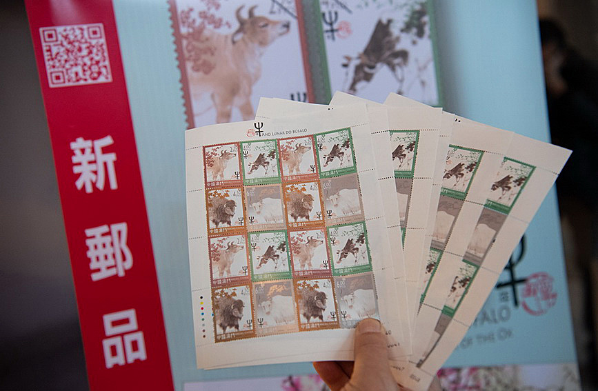 澳門值日生肖600圖庫與八百圖庫開獎，探索生肖圖庫的魅力與奧秘，澳門生肖圖庫開獎揭秘，探索值日生肖600圖庫與八百圖庫的魅力與奧秘