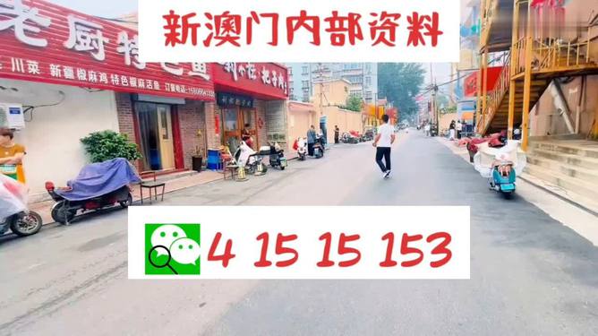 探索未來(lái)，新澳門天天開好彩的2025展望，未來(lái)展望，新澳門2025年天天彩彩紛呈的探索之路