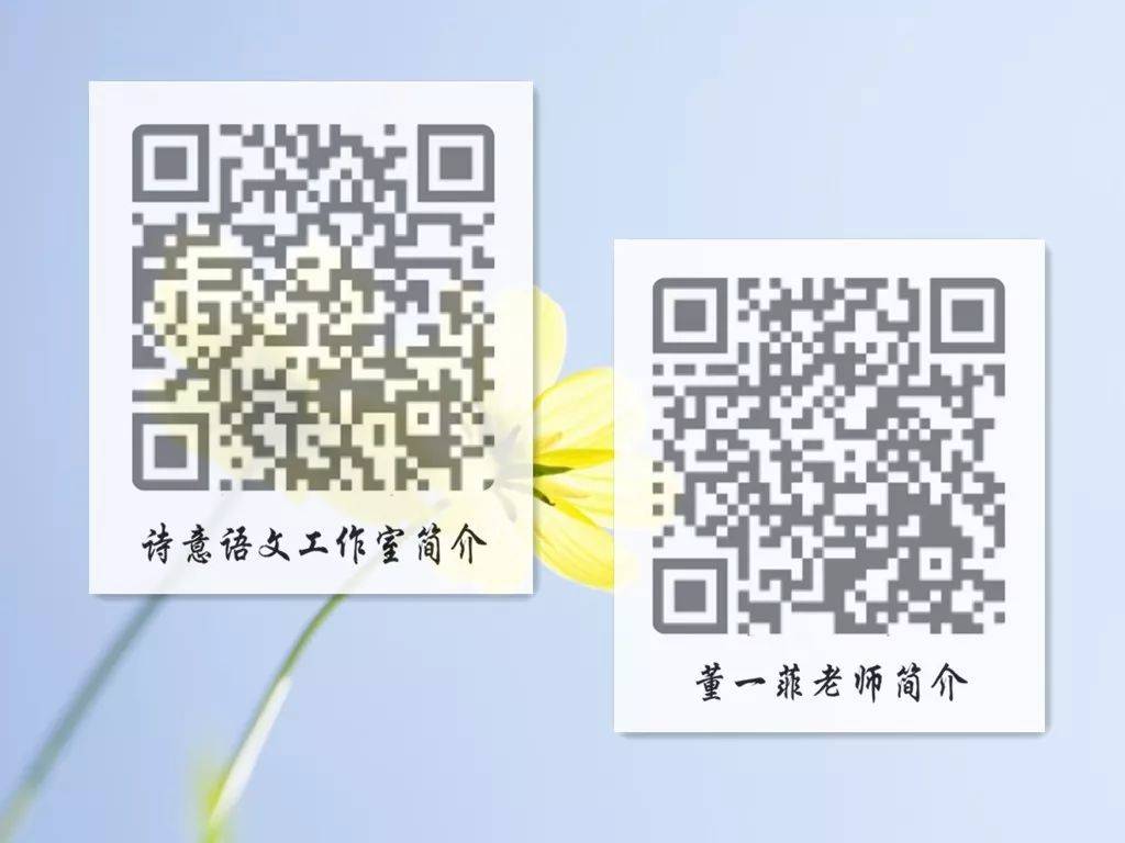 一碼一肖一特一，揭秘背后的秘密與獨特之處，揭秘一碼一肖一特一的獨特之處與背后秘密