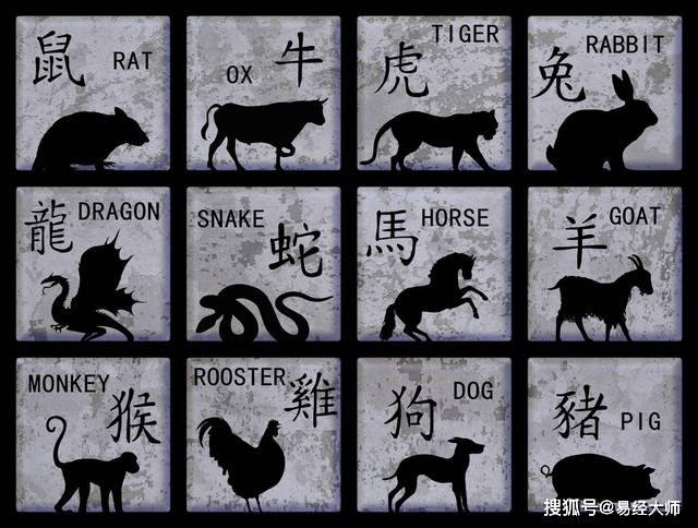 新澳特碼，羊牛虎各數(shù)10的獨特魅力與解析，新澳特碼，羊牛虎各數(shù)10的獨特魅力深度解析