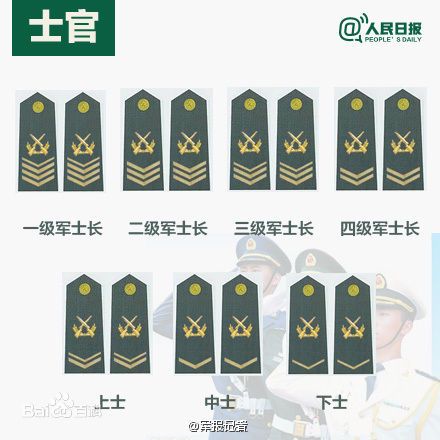 全球各國軍士長軍銜對照表及其重要性，全球各國軍士長軍銜對照表，揭示其重要性