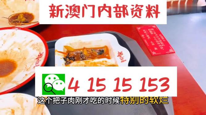 澳門王中王六碼新澳門，探索與解析，澳門王中王六碼新澳門，深度探索與解析