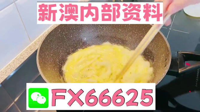 澳門九點(diǎn)半9點(diǎn)半網(wǎng)站——探索與體驗(yàn)，澳門九點(diǎn)半網(wǎng)站，探索與體驗(yàn)之旅