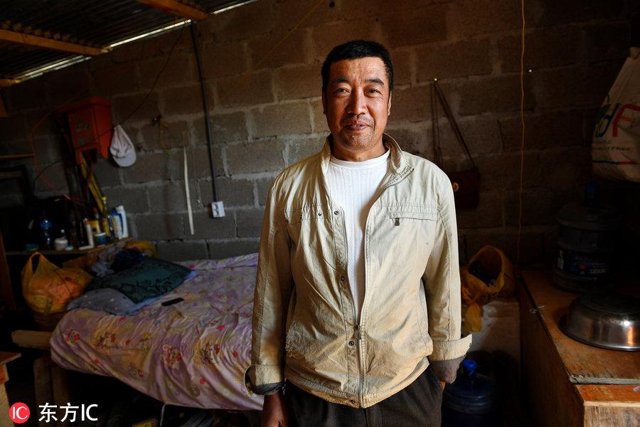 博科圣地組織，深度解析與理解，博科圣地組織深度解析與探究