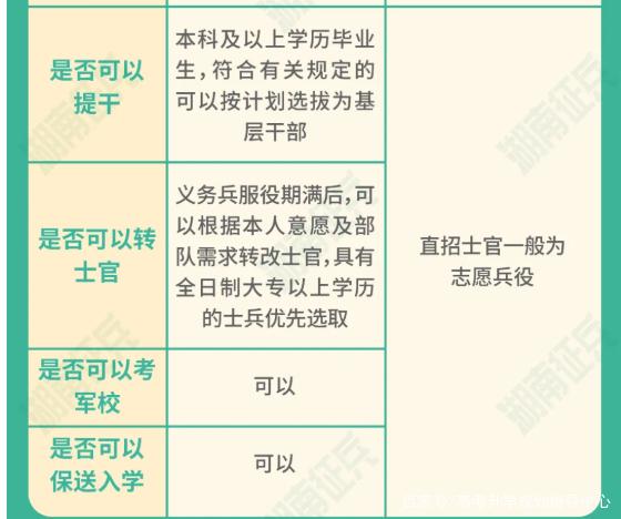 士官直招與義務(wù)兵的區(qū)別，深入了解軍隊招募制度，直招士官與義務(wù)兵招募制度深度解析，軍隊招募制度詳解