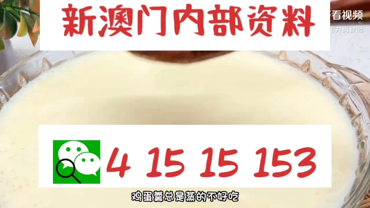 新澳門(mén)中特網(wǎng)中特馬，探索與解析，澳門(mén)中特馬探索與解析指南