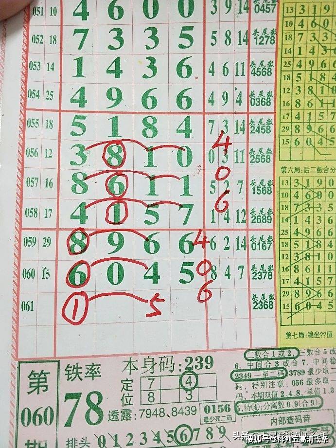 平特肖推算法，探索搜索引擎優(yōu)化的新境界，平特肖推算法，開啟搜索引擎優(yōu)化新境界的探索之旅