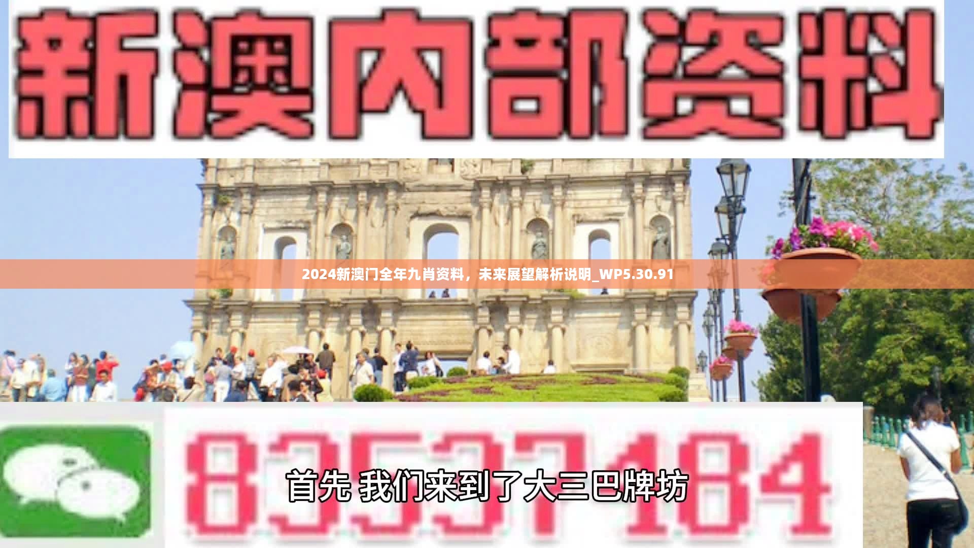 新澳門精準(zhǔn)九肖，揭秘預(yù)測技巧與策略，揭秘新澳門精準(zhǔn)九肖預(yù)測技巧與策略