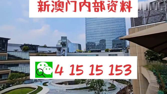 新澳門單雙，探索數(shù)字世界的奧秘與魅力，澳門數(shù)字世界的奧秘與魅力探索，單雙數(shù)的奇幻之旅