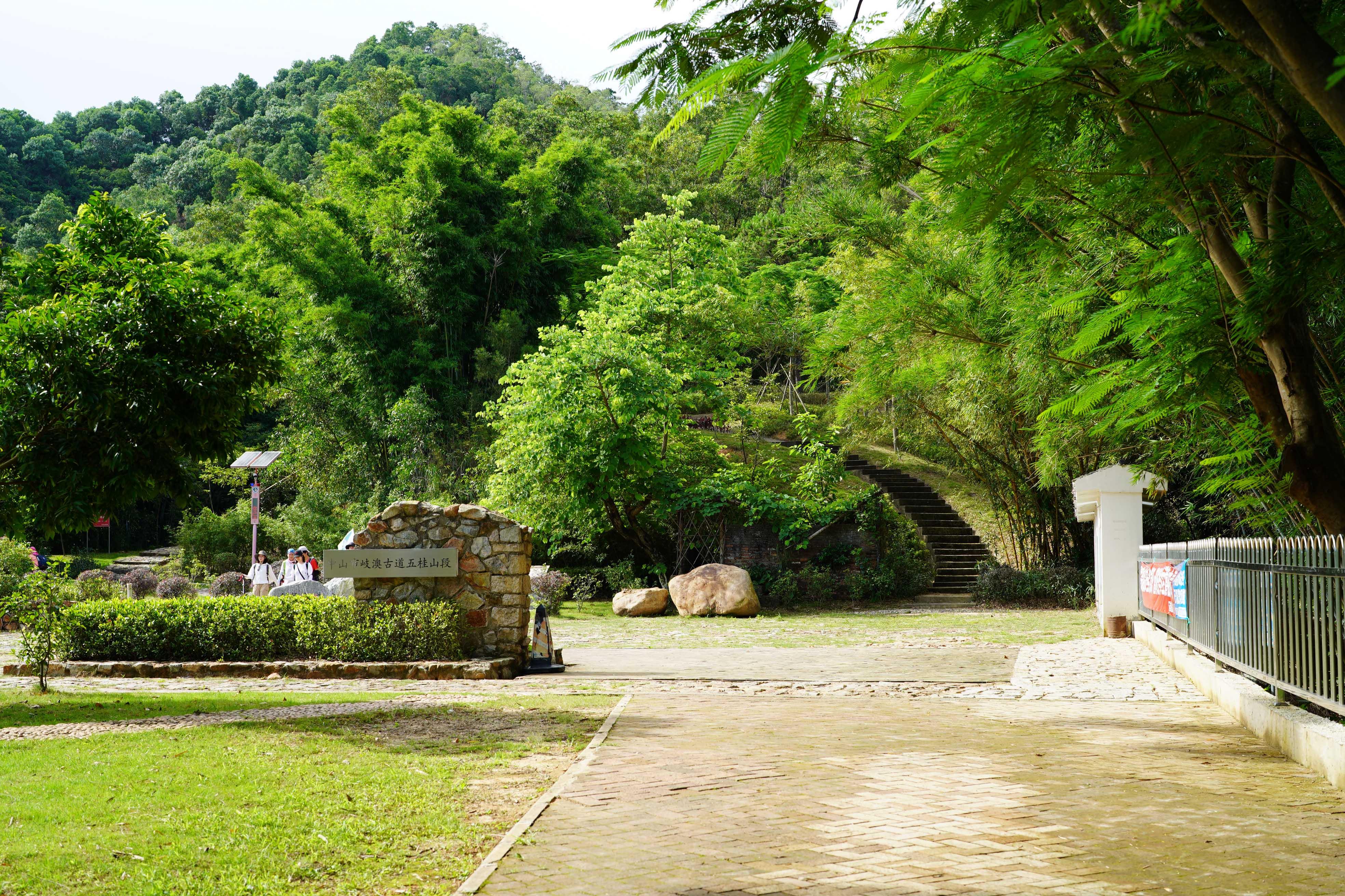 新澳門(mén)波色走勢(shì)圖表大全，深度解析與預(yù)測(cè)，澳門(mén)波色走勢(shì)圖表解析與預(yù)測(cè)大全