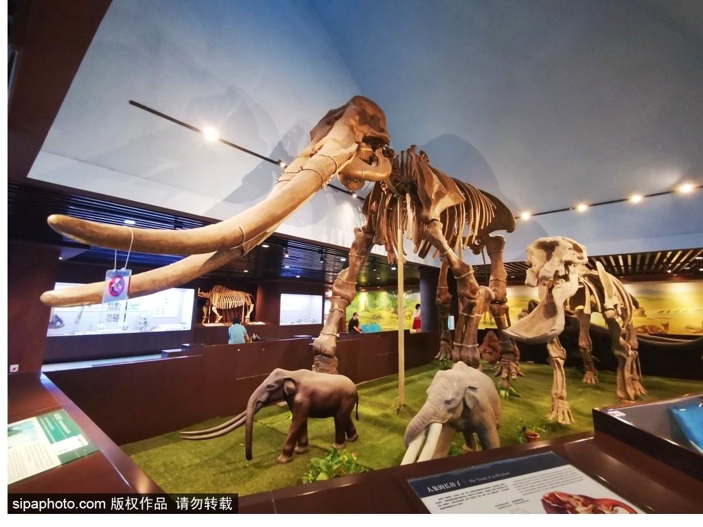 北京必去的十大博物館——探尋千年文化的精華之旅，北京必游十大博物館，千年文化精華之旅探尋記