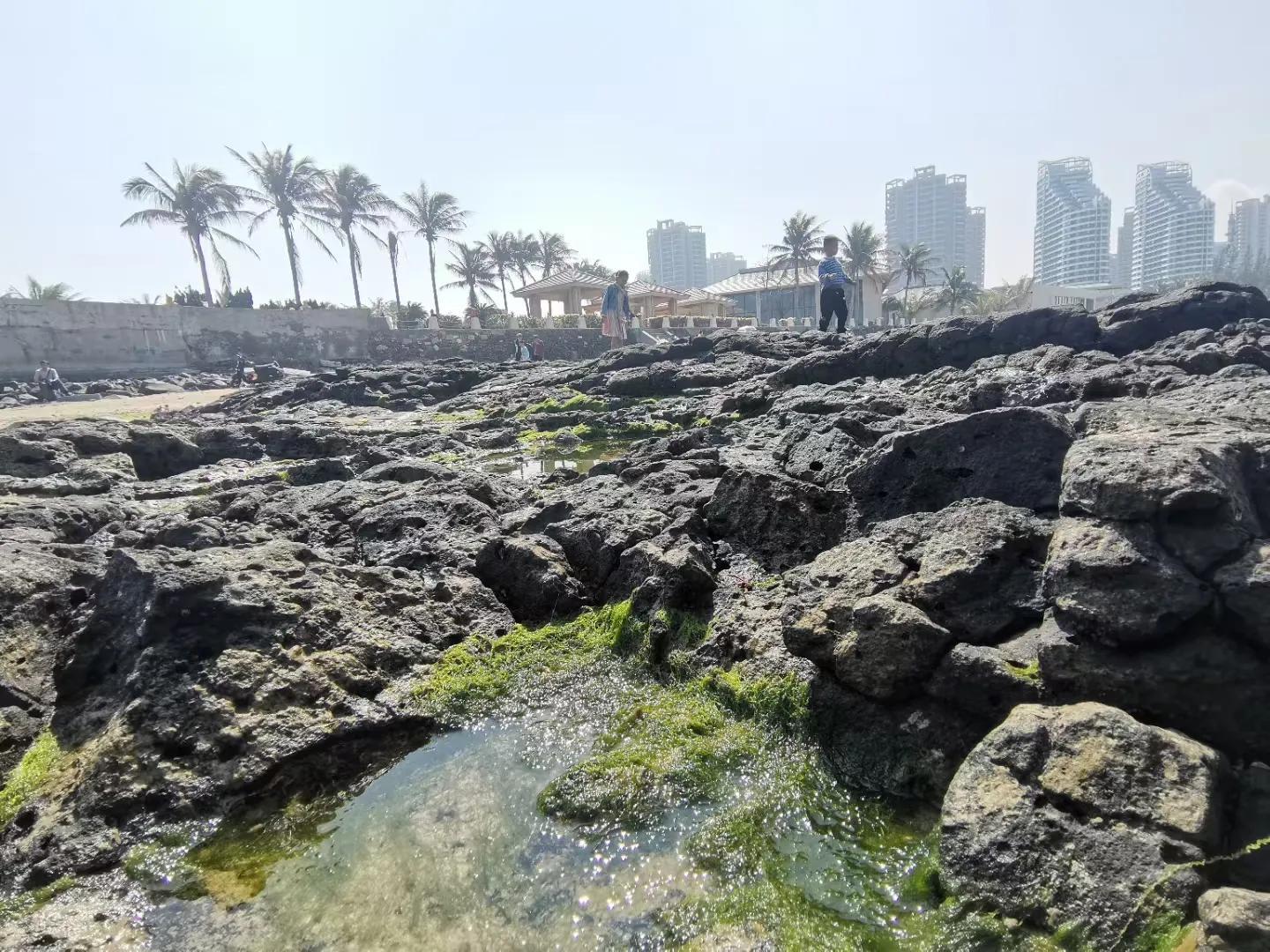 解放海南島電視劇全集下載，探尋30集完整劇情，解放海南島電視劇全集下載，探尋完整的30集劇情探索