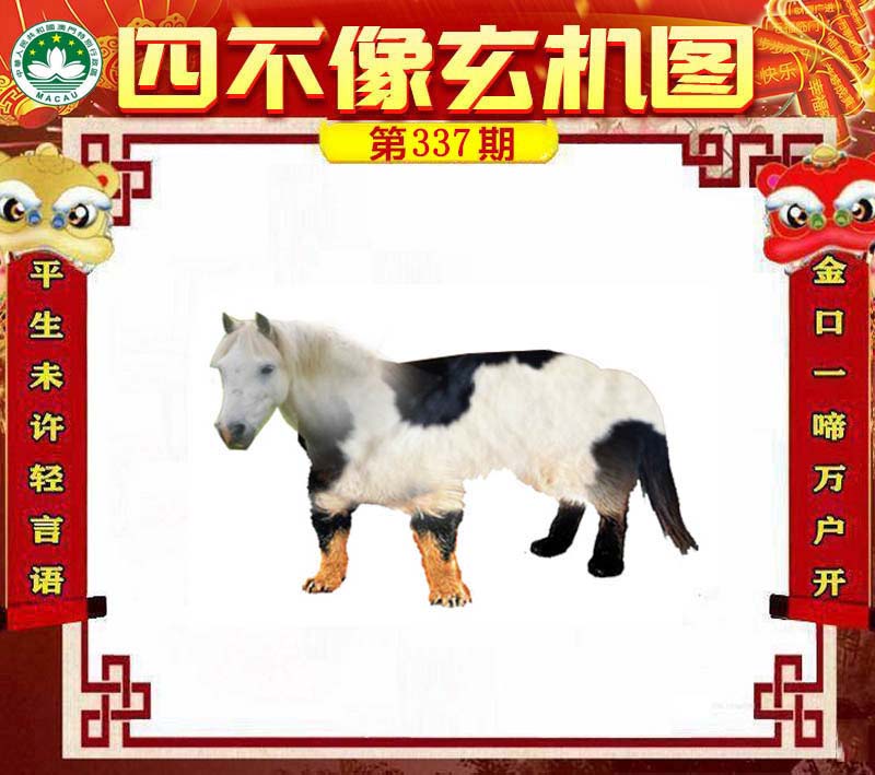 王中王四不像肖一肖中特，探索神秘現(xiàn)象背后的真相，神秘現(xiàn)象背后的真相探索，王中王四不像肖一肖中特揭秘