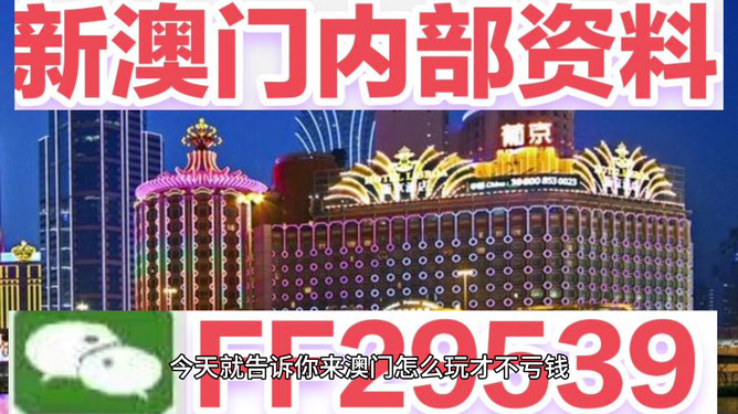澳門今晚必開一肖——揭秘生肖彩票的魅力與策略，澳門生肖彩票揭秘，策略與魅力探索