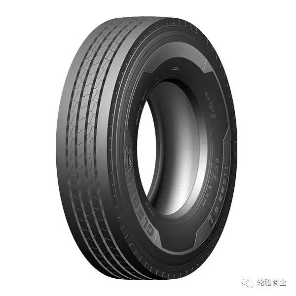 王中王295期指一生肖，揭秘生肖運勢與預(yù)測背后的秘密，揭秘生肖運勢預(yù)測，王中王295期生肖運勢背后的秘密探索
