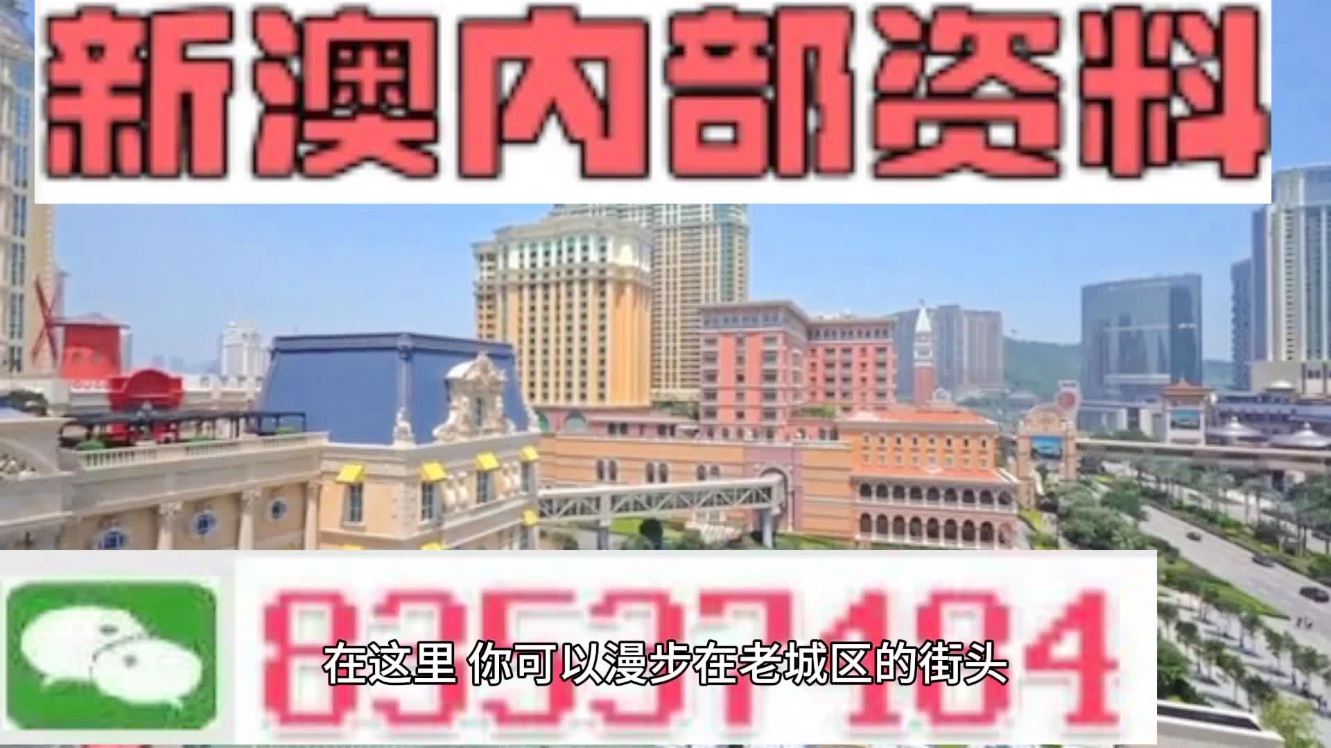 新澳門期期準精準，探索澳門的未來與SEO策略，澳門未來展望與SEO策略探索，精準瞄準新機遇