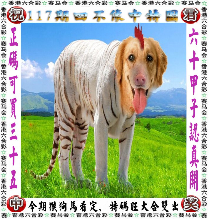 王中王四不像一肖論壇，探索神秘論壇的世界，王中王四不像一肖論壇，神秘論壇世界的探索之旅