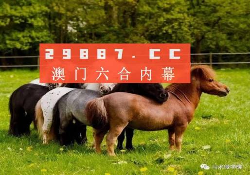 王中王四不像正版一肖中特圖，揭秘背后的秘密與獨特魅力，揭秘王中王四不像正版一肖中特圖的獨特魅力和背后秘密